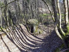 Ligne Maginot - FM5 - SCHMELTZBACH 4 - (Blockhaus pour arme infanterie) - Le bloc intégré dans le talus d'un chemin creux