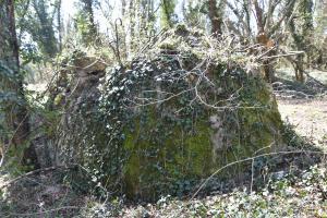Ligne Maginot - G54 - PETIT-LANDAU BERGE 2 - (Blockhaus pour arme infanterie) - Côté berge du Rhin
