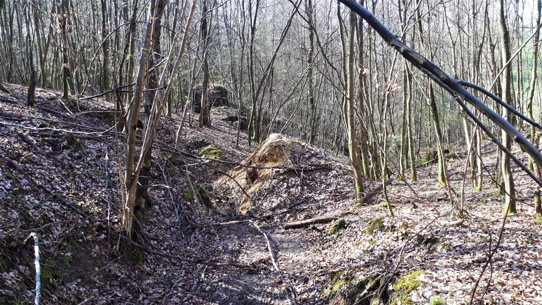 Ligne Maginot - HIRTENMATT 3 - (Blockhaus pour arme infanterie) - Le blockhaus a basculé dans le ravin
Hirtenmatt 1 est visible juste derrière
 - Gregory Fuchs