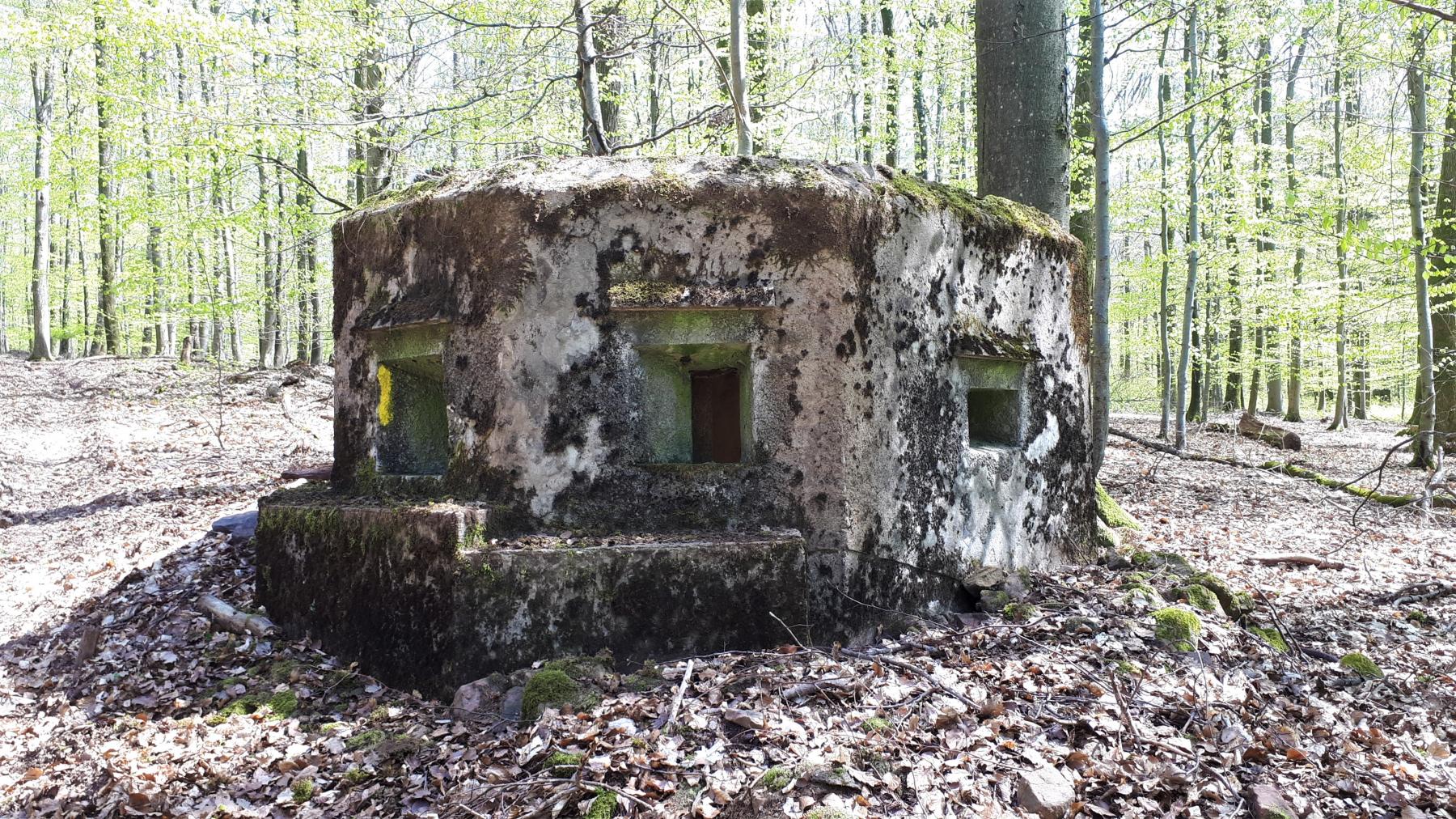 Ligne Maginot - FM33 - NONNENHARDT CENTRE 3 - (Blockhaus pour arme infanterie) - Vue coté gauche - Gregory Fuchs