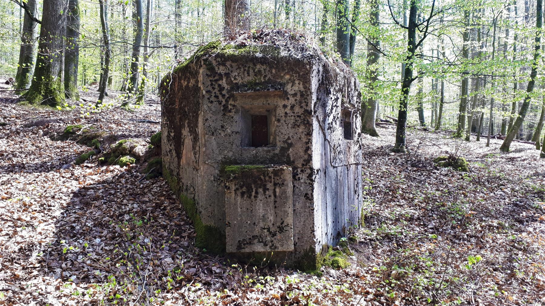 Ligne Maginot - FM45 - NONNENHARDT CENTRE 2 - (Blockhaus pour arme infanterie) - Vue de face - Gregory Fuchs