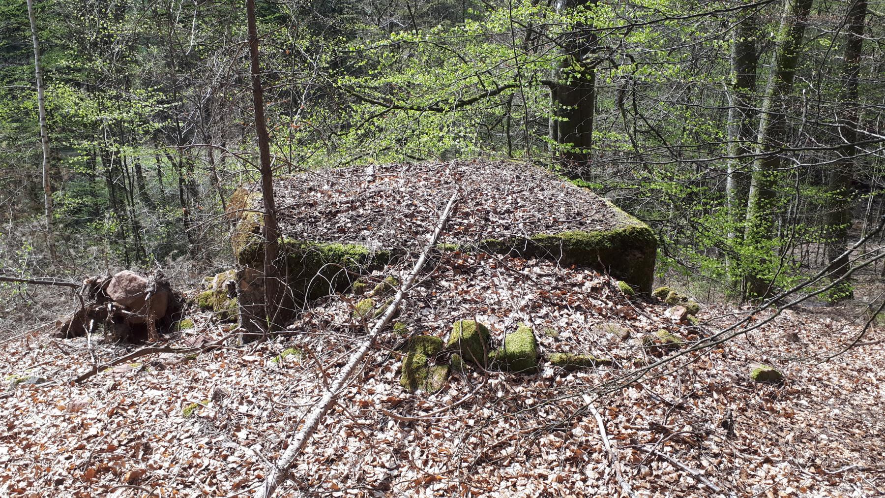 Ligne Maginot - M12 - NONNENHARDT OUEST 3 - (Blockhaus pour arme infanterie) - Le blockhaus surplombant la vallée du Soultzbach - Gregory Fuchs