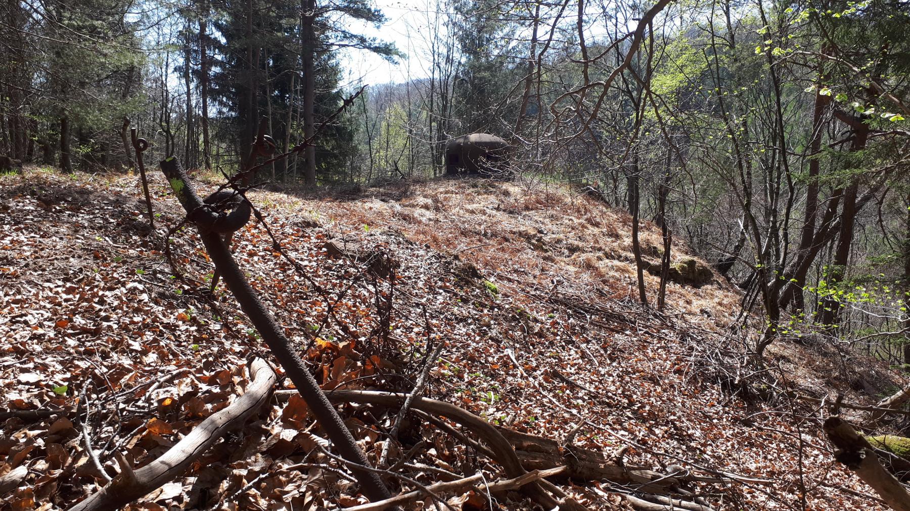 Ligne Maginot - NONNENHARDT N°1 - (Blockhaus pour arme infanterie) - Restes du réseau barbelés et cloche GFM - Gregory Fuchs