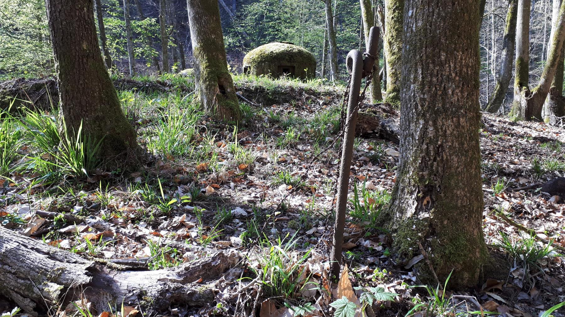 Ligne Maginot - TRAUTBACH OUEST - (Blockhaus pour arme infanterie) - Poteau à barbelés et cloche GFM - Gregory Fuchs