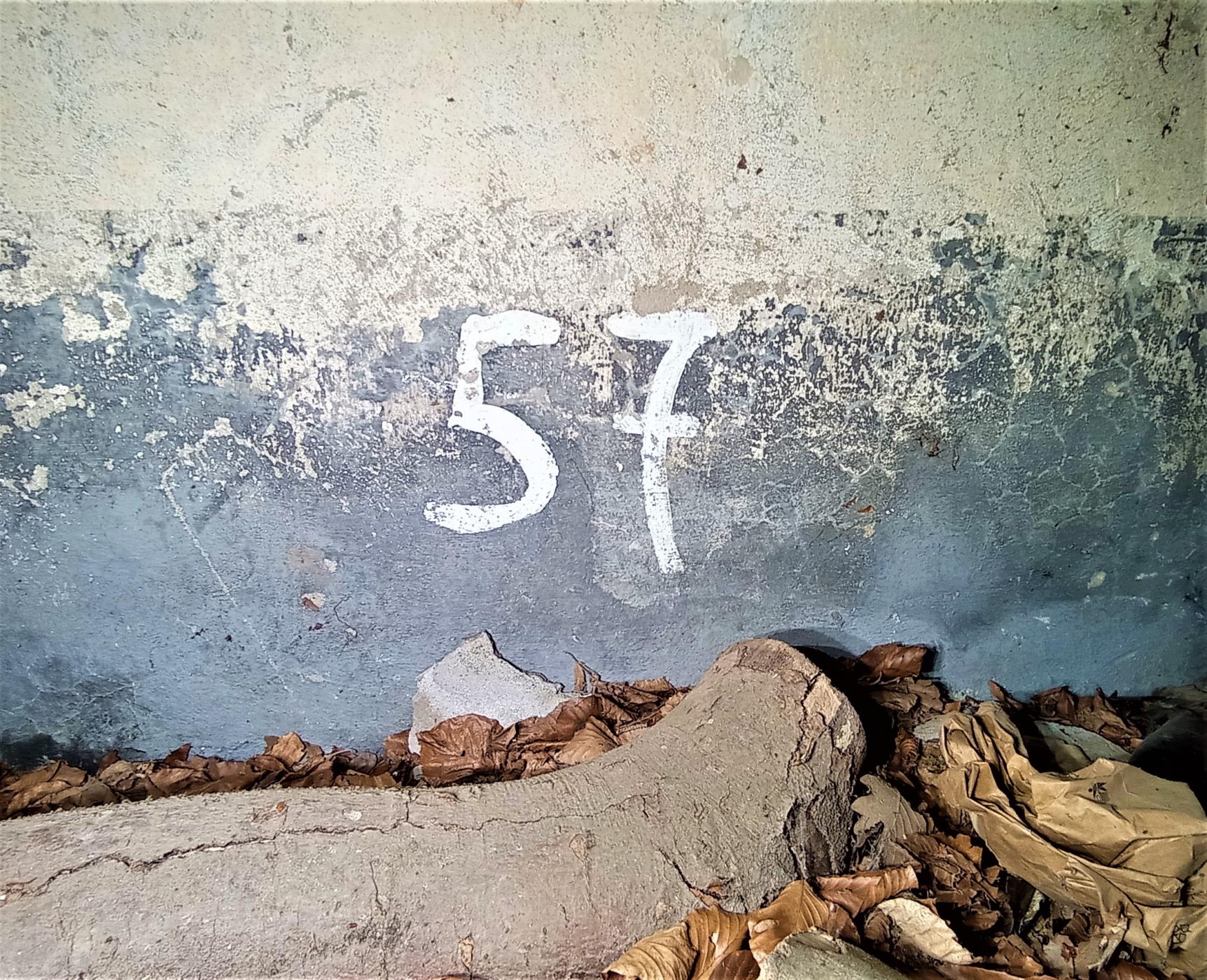 Ligne Maginot - FM31 - NONNENHARDT CENTRE 4 - (Blockhaus pour arme infanterie) - Marquage N° 57 - Baptiste GAUDIN