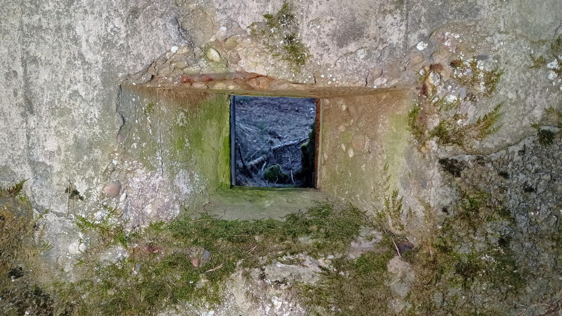 Ligne Maginot - FM40 - BETZENTHAL 3 - (Blockhaus pour arme infanterie) - Détail du créneau frontal  - Baptiste GAUDIN
