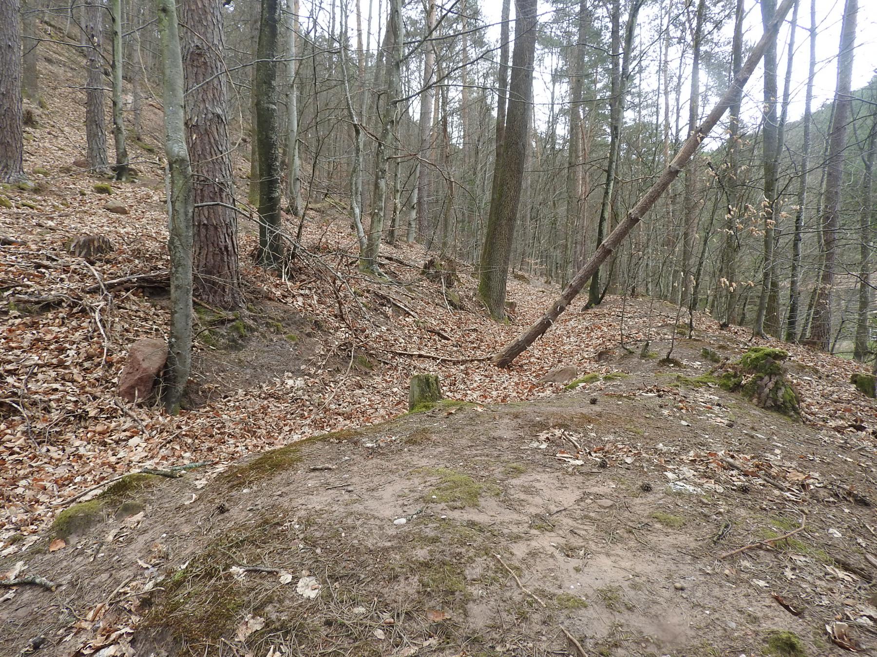 Ligne Maginot - FERME MUCKENTHAL 1 - (Cuve pour canon) - La tranchée d'accès qui relit les deux emplacements 1 et 2 - STENGER Mathieu