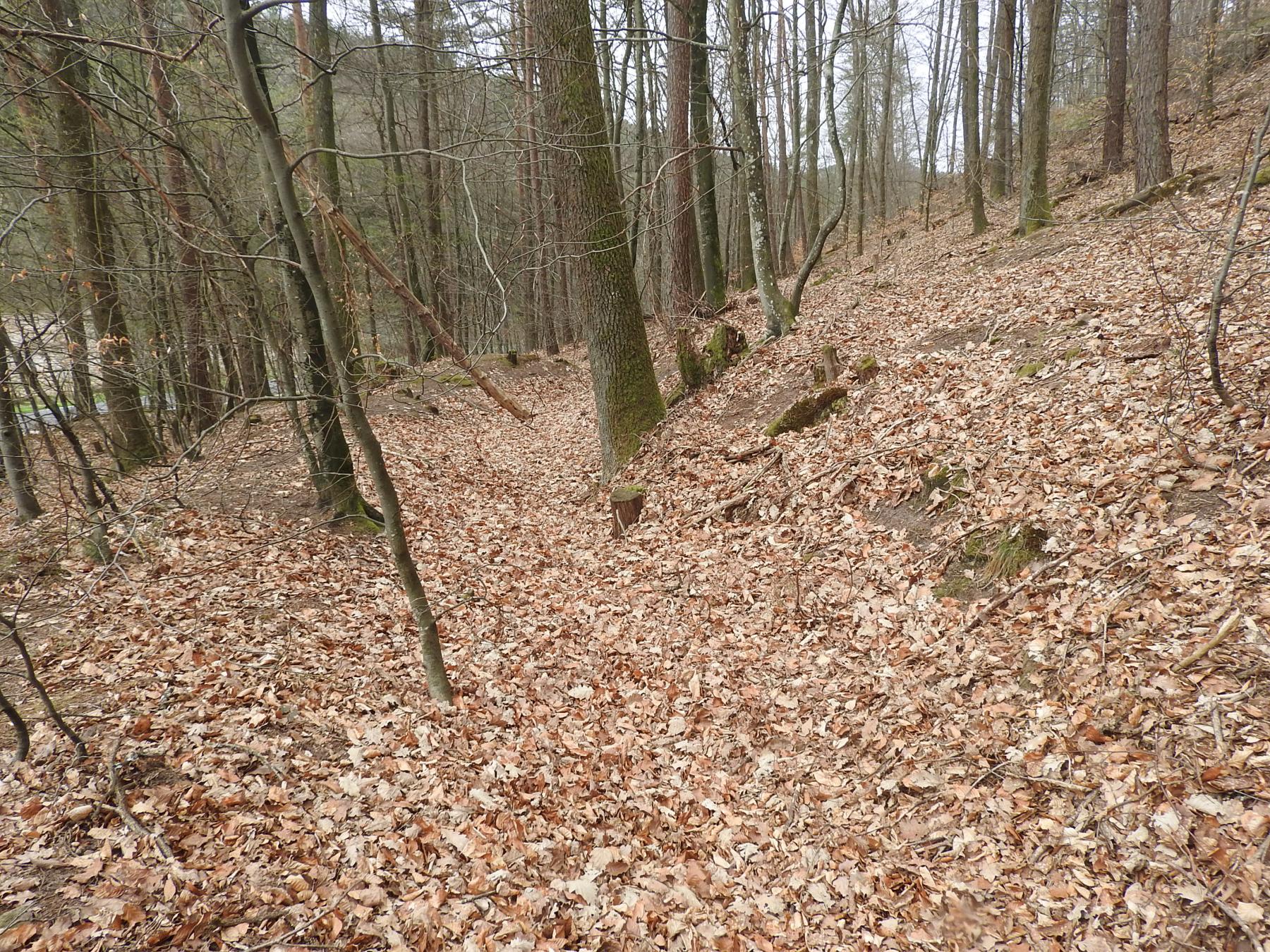 Ligne Maginot - FERME MUCKENTHAL 2 - (Blockhaus pour arme infanterie) - La tranchée d'accès - STENGER Mathieu