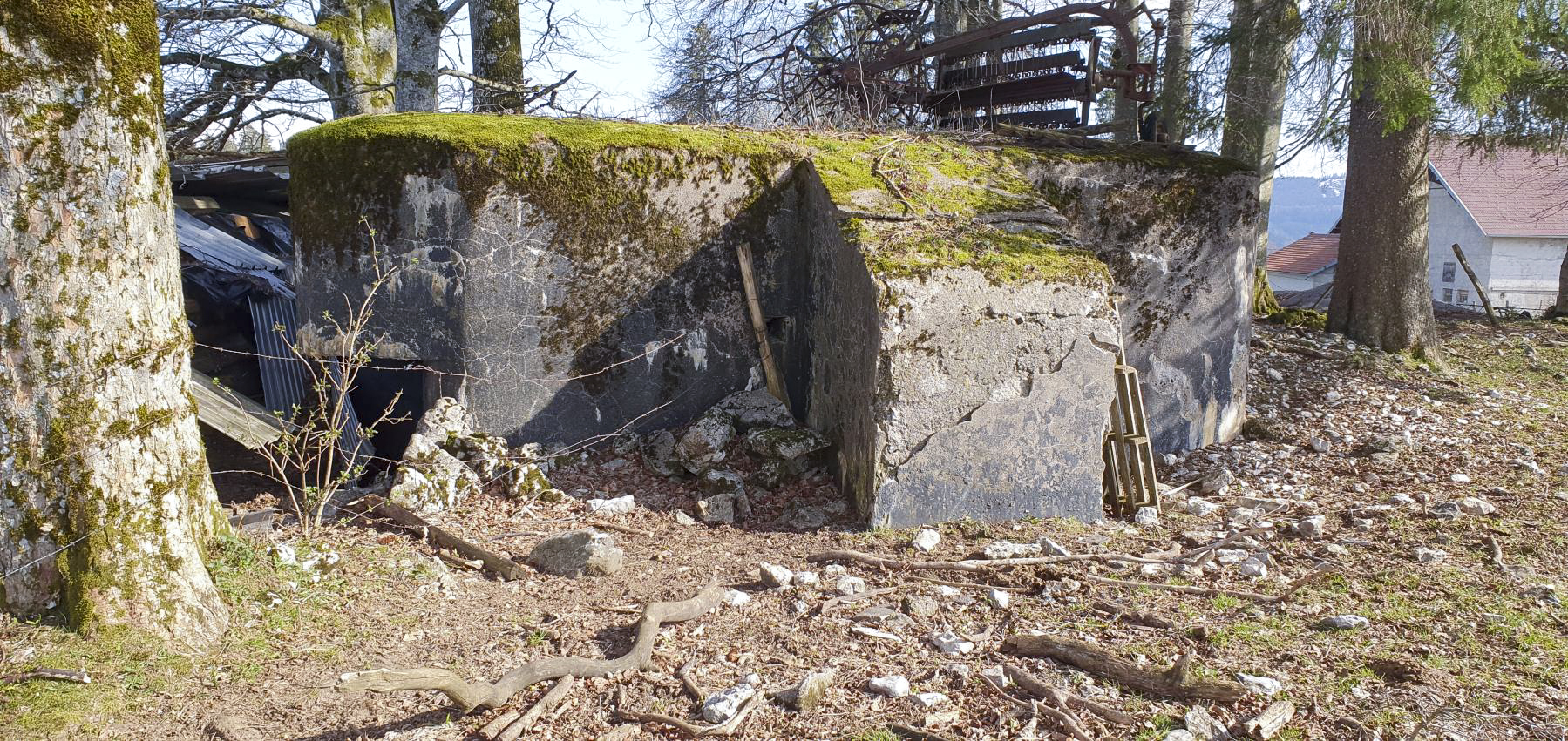 Ligne Maginot - B11 - LES LAILLETS OUEST - (Blockhaus pour arme infanterie) -  - Yann Stauffer