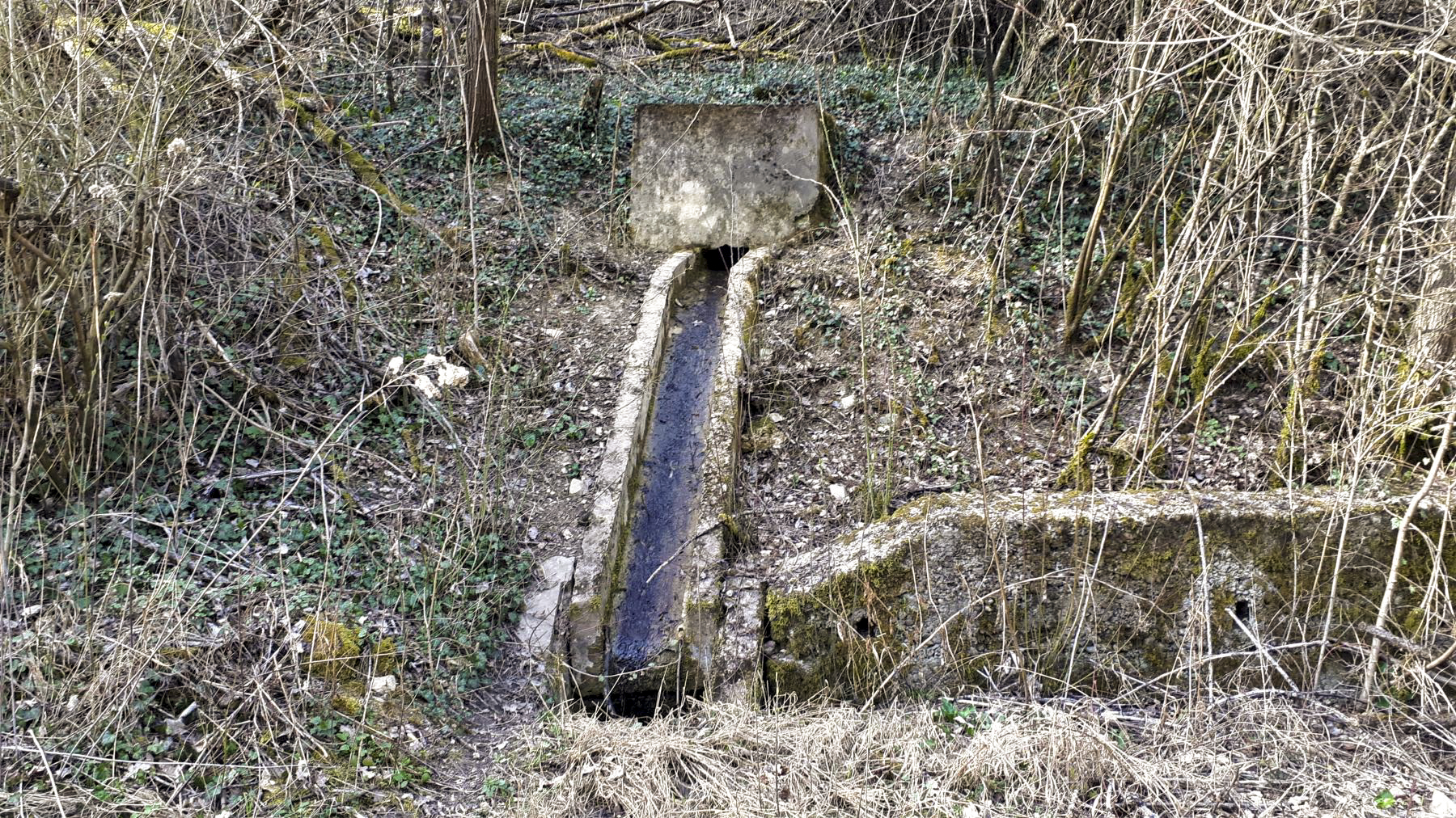 Ligne Maginot - FOUR A CHAUX - FAC - (Ouvrage d'artillerie) - Entrée des hommes
Sortie de l'égout - Gregory Fuchs