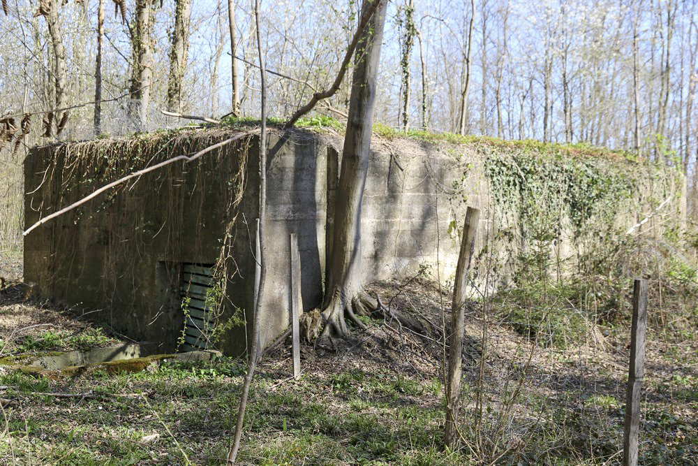 Ligne Maginot - OBERE MATTEN - (Abri) - Face Ouest avec entrée et sud - Alain Perouffe