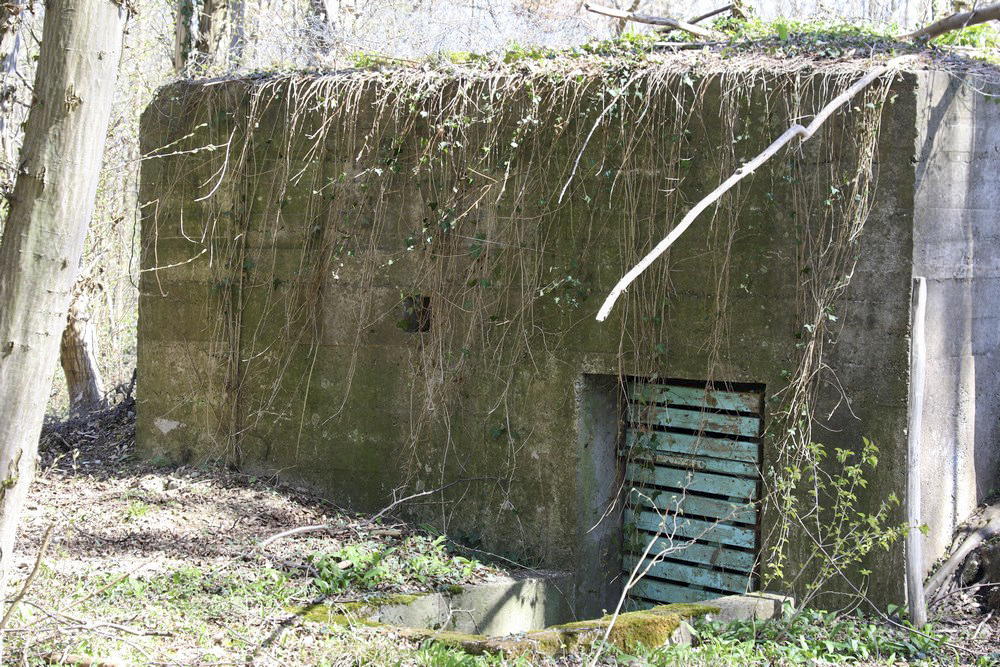 Ligne Maginot - OBERE MATTEN - (Abri) - Face Ouest avec entrée - Alain Perouffe