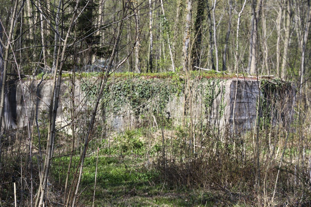 Ligne Maginot - OBERE MATTEN - (Abri) - Face sud - Alain Perouffe