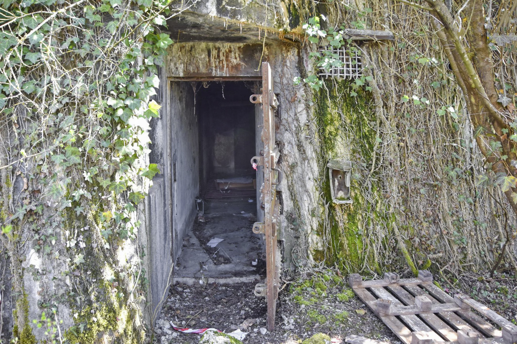 Ligne Maginot - 61/3 - OTTMARSHEIM SUD - (Casemate d'infanterie - Double) - Entrée - Daniel Froehly