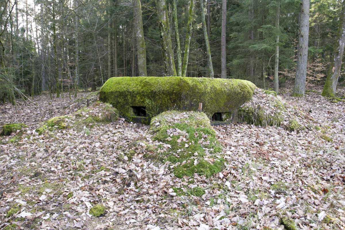 Ligne Maginot - NEUNHOFFEN NORD OUEST 2 - (Blockhaus pour arme infanterie) - Vue extérieure - Benoit HENRICH