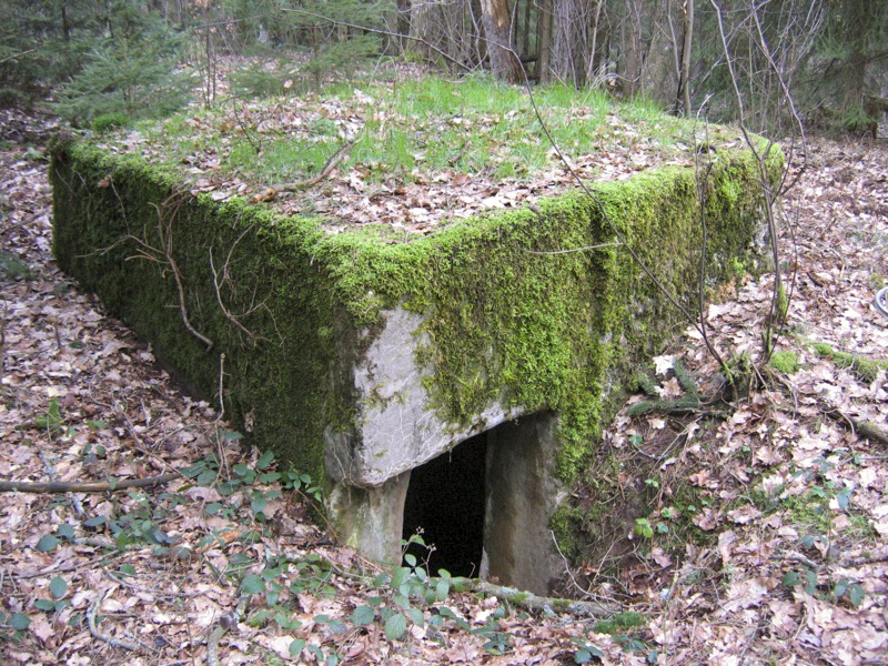 Ligne Maginot - NEUNHOFFEN NORD OUEST 4 - (Abri) -  - Antoine SCHOEN