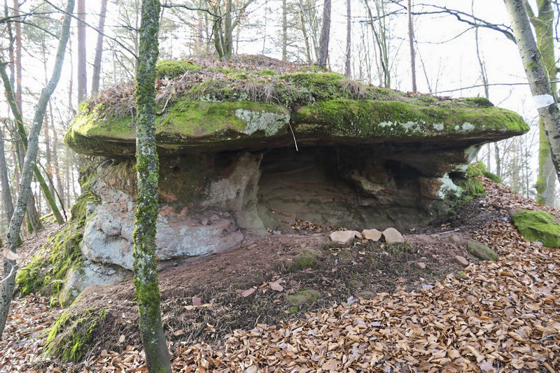 Ligne Maginot - PETIT STEINBERG  - (Cuve pour arme d'infanterie) - Position sommitale - Alain Perouffe