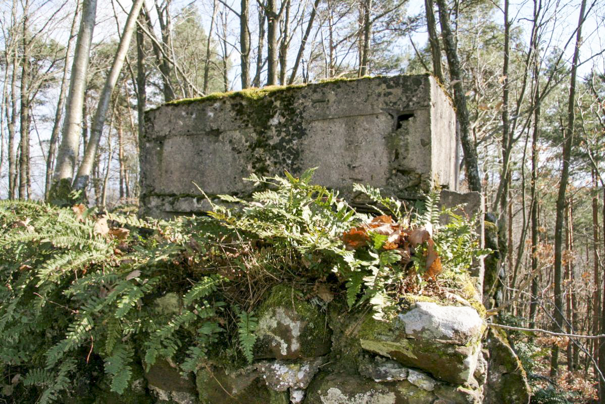 Ligne Maginot - ROTHENBERG (Observatoire d'infanterie) -  - Alain Perouffe