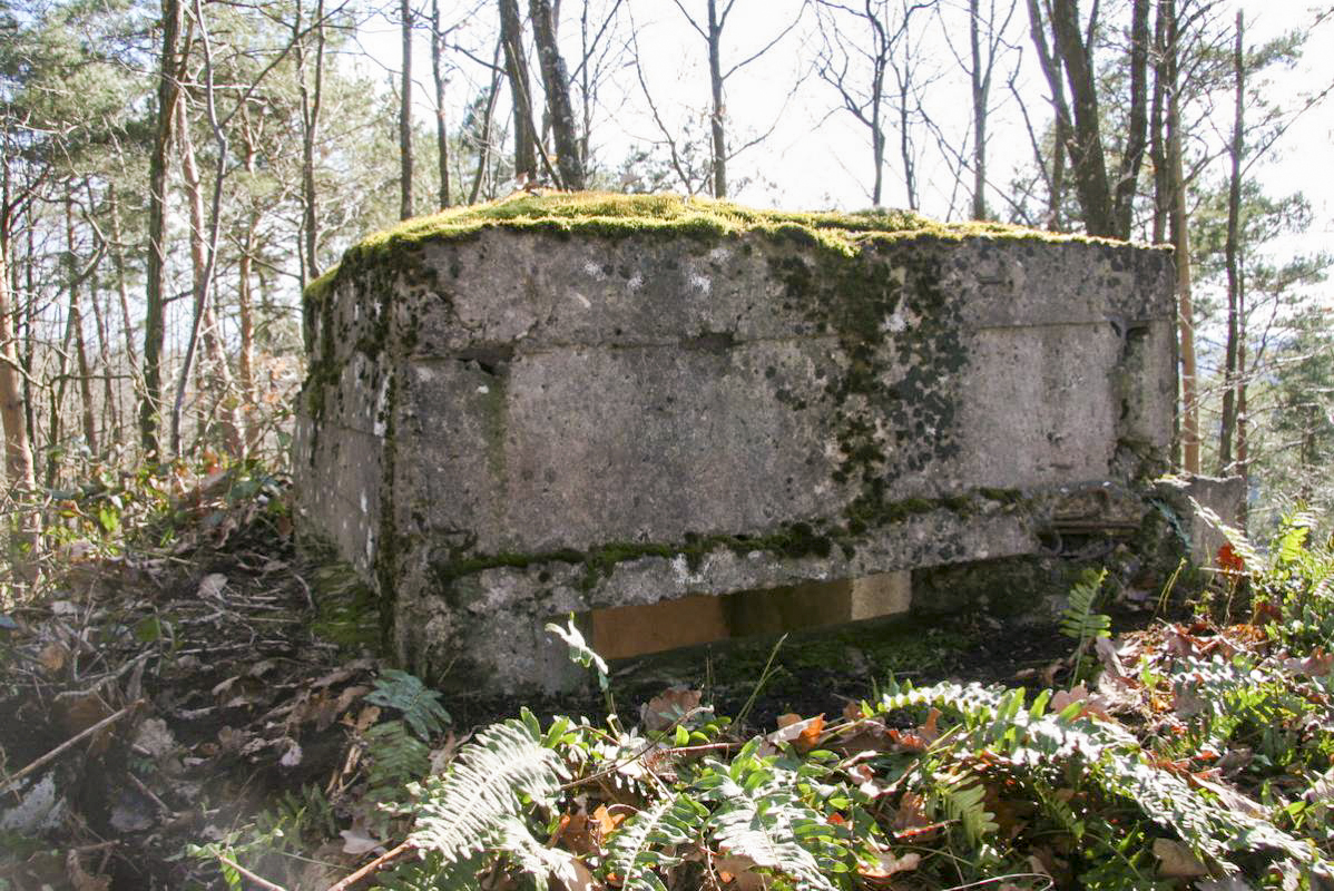 Ligne Maginot - ROTHENBERG (Observatoire d'infanterie) - Créneau Nord - Alain Perouffe