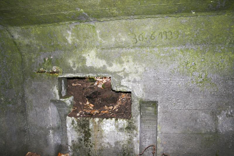 Ligne Maginot - ROTHENBOURG 1 (Blockhaus pour canon) -  - GRUBER Franck
