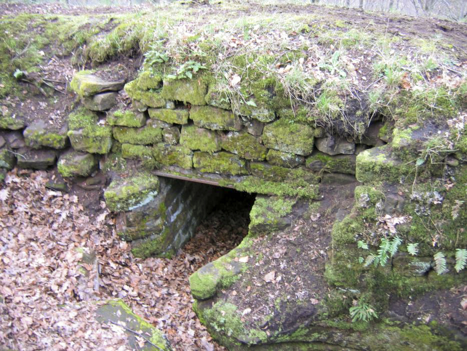 Ligne Maginot - ROTHENBOURG CHATEAU (Observatoire d'infanterie) - Entrée du blockhaus mitrailleuse - Antoine SCHOEN