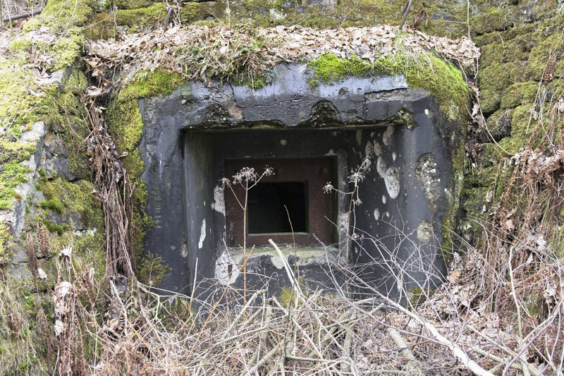 Ligne Maginot - WEIHERSTHAL Sud (Blockhaus pour canon) - Créneau pour canon antichar - GRUBER Franck