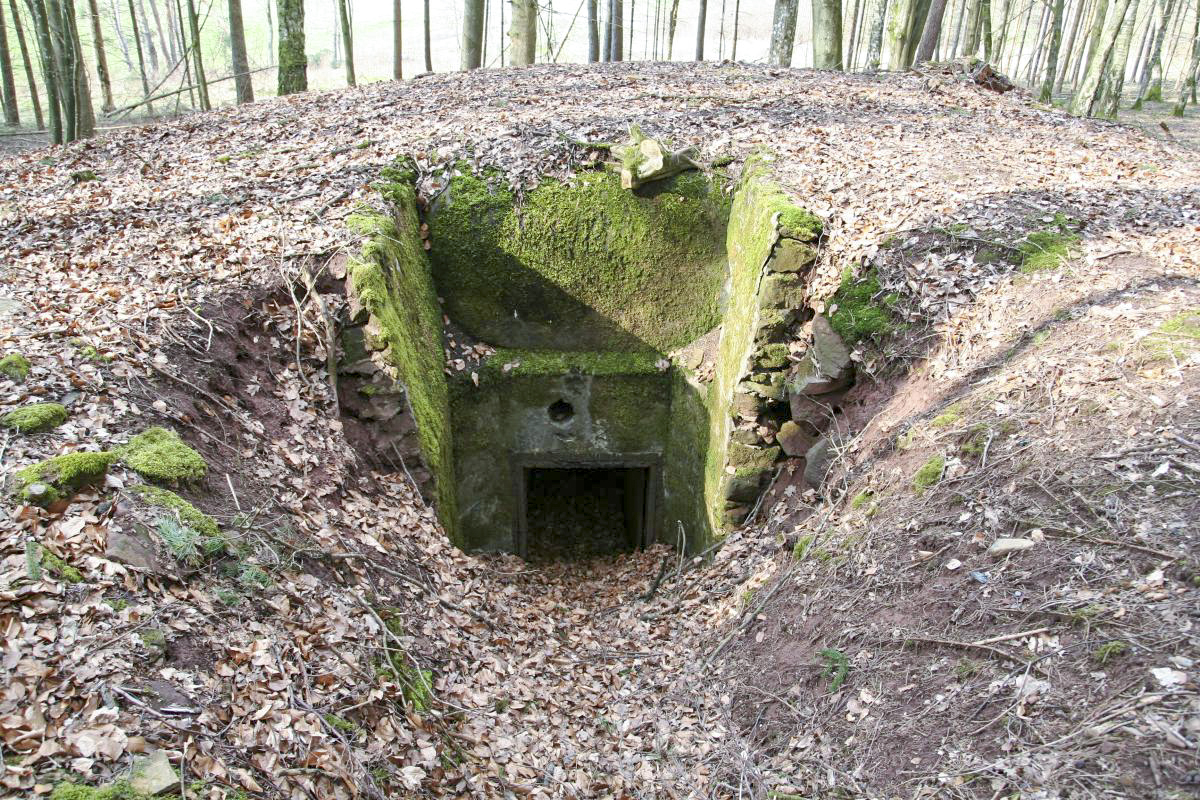 Ligne Maginot - WINECKERTHAL 2 - (Blockhaus pour arme infanterie) - L'entrée - B. HENRICH