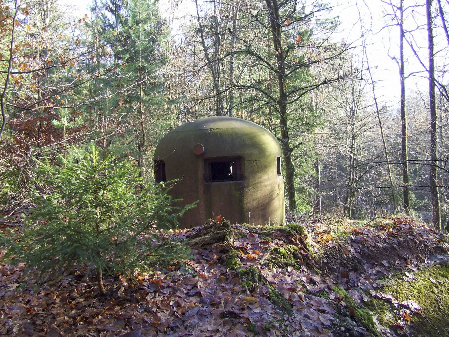 Ligne Maginot - WOLFSCHACHEN - (Abri) - La cloche GFM de l'entrée Ouest est en partie déchaussée - STENGER Mathieu