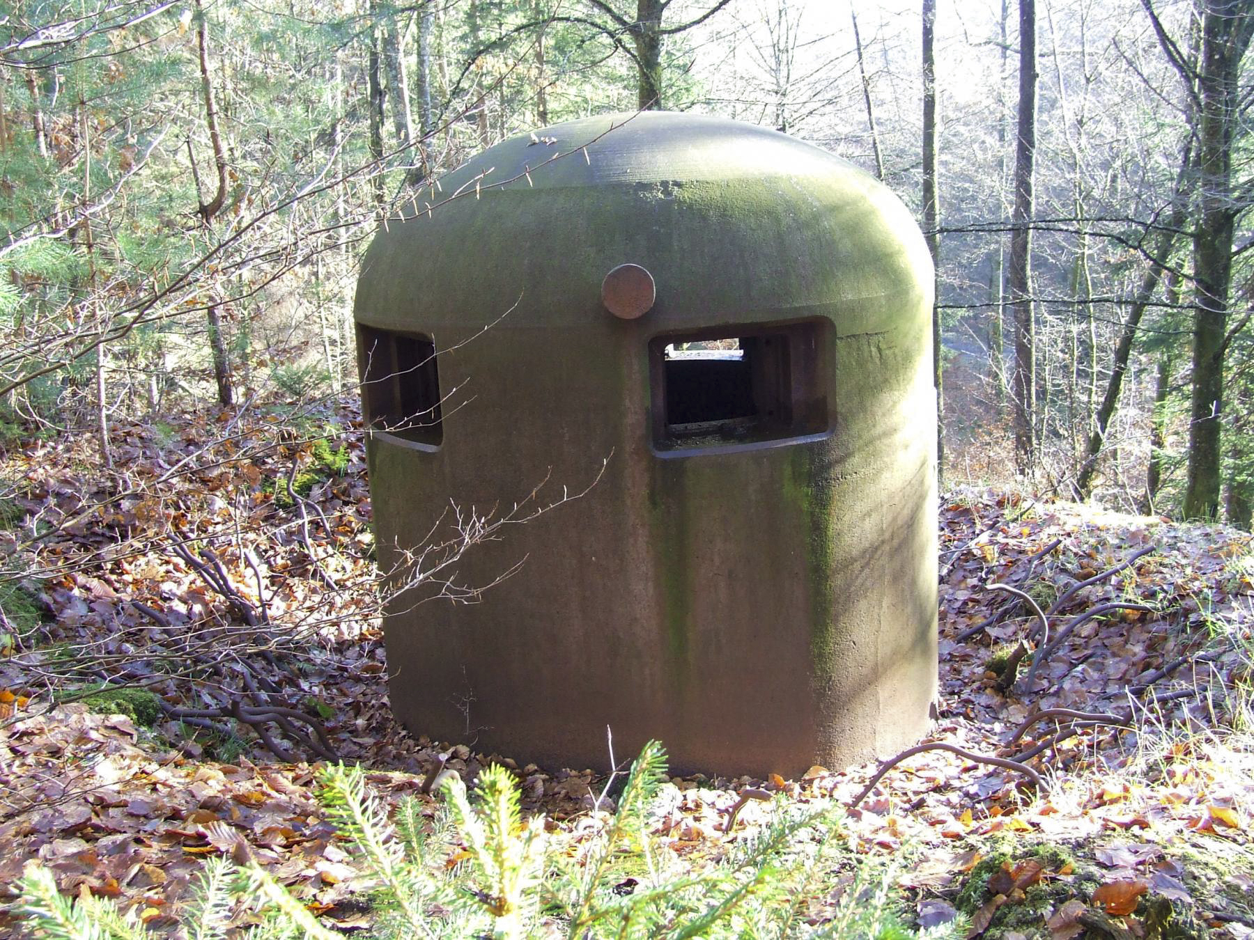 Ligne Maginot - WOLFSCHACHEN - (Abri) - La cloche GFM de l'entrée Ouest est en partie déchaussée - STENGER Mathieu