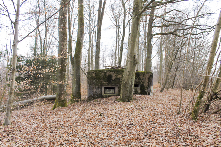 Ligne Maginot - KISSWALD 1 (AVANT POSTE) - (Blockhaus pour canon) - Vue générale - Christian LENHARD