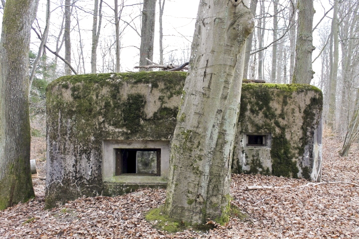 Ligne Maginot - KISSWALD 1 (AVANT POSTE) - (Blockhaus pour canon) - Façade de tir - Christian LENHARD