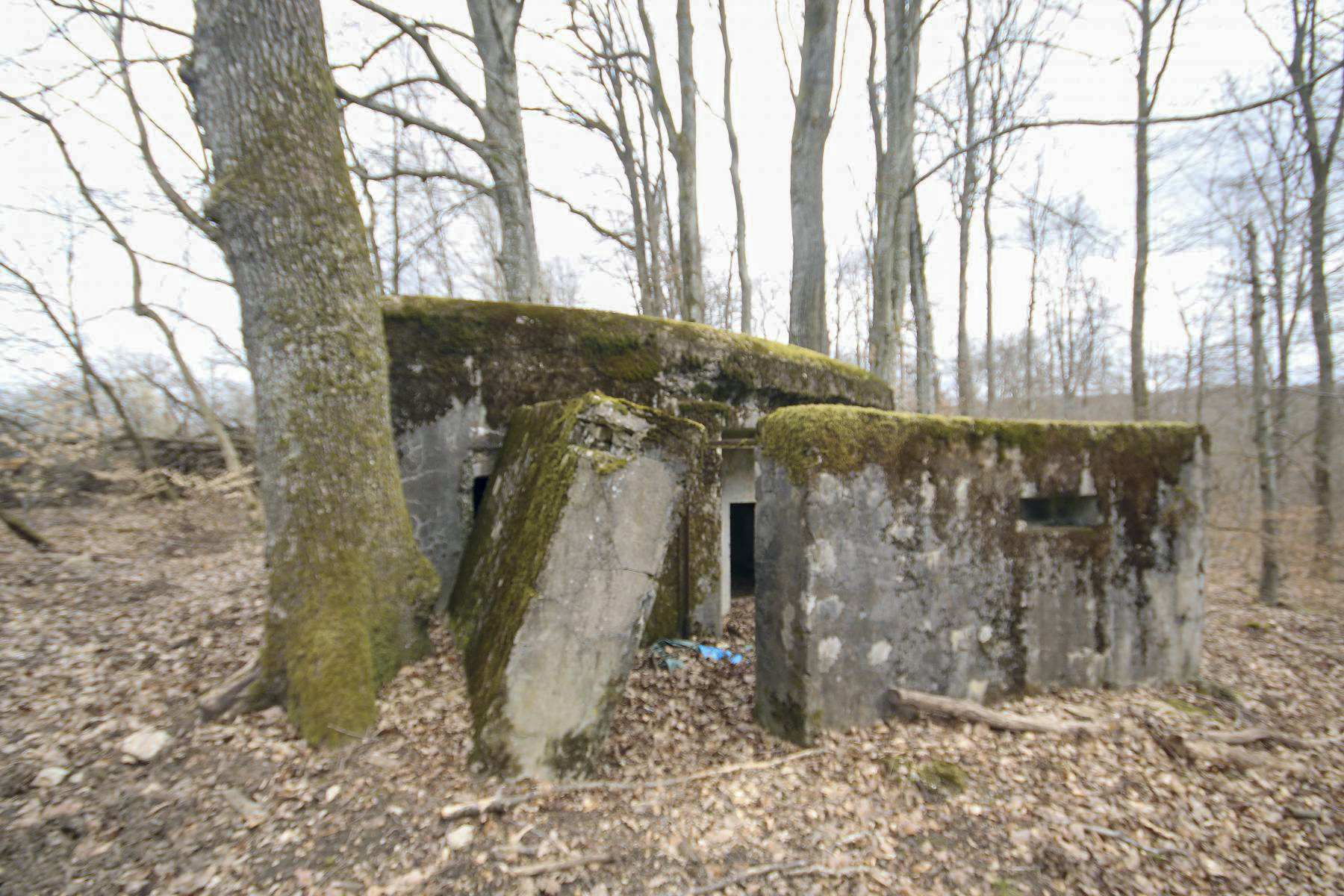 Ligne Maginot - KISSWALD 1 (AVANT POSTE) - (Blockhaus pour canon) -  - Les Bergers des Pierres_Michel & Philippe ZIMMER