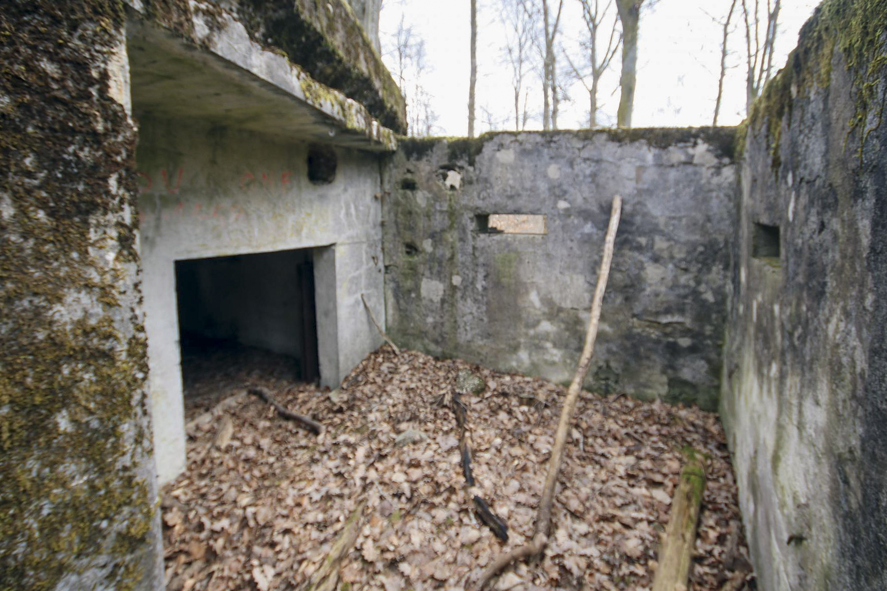 Ligne Maginot - KISSWALD 1 (AVANT POSTE) - (Blockhaus pour canon) -  - Les Bergers des Pierres_Michel & Philippe ZIMMER