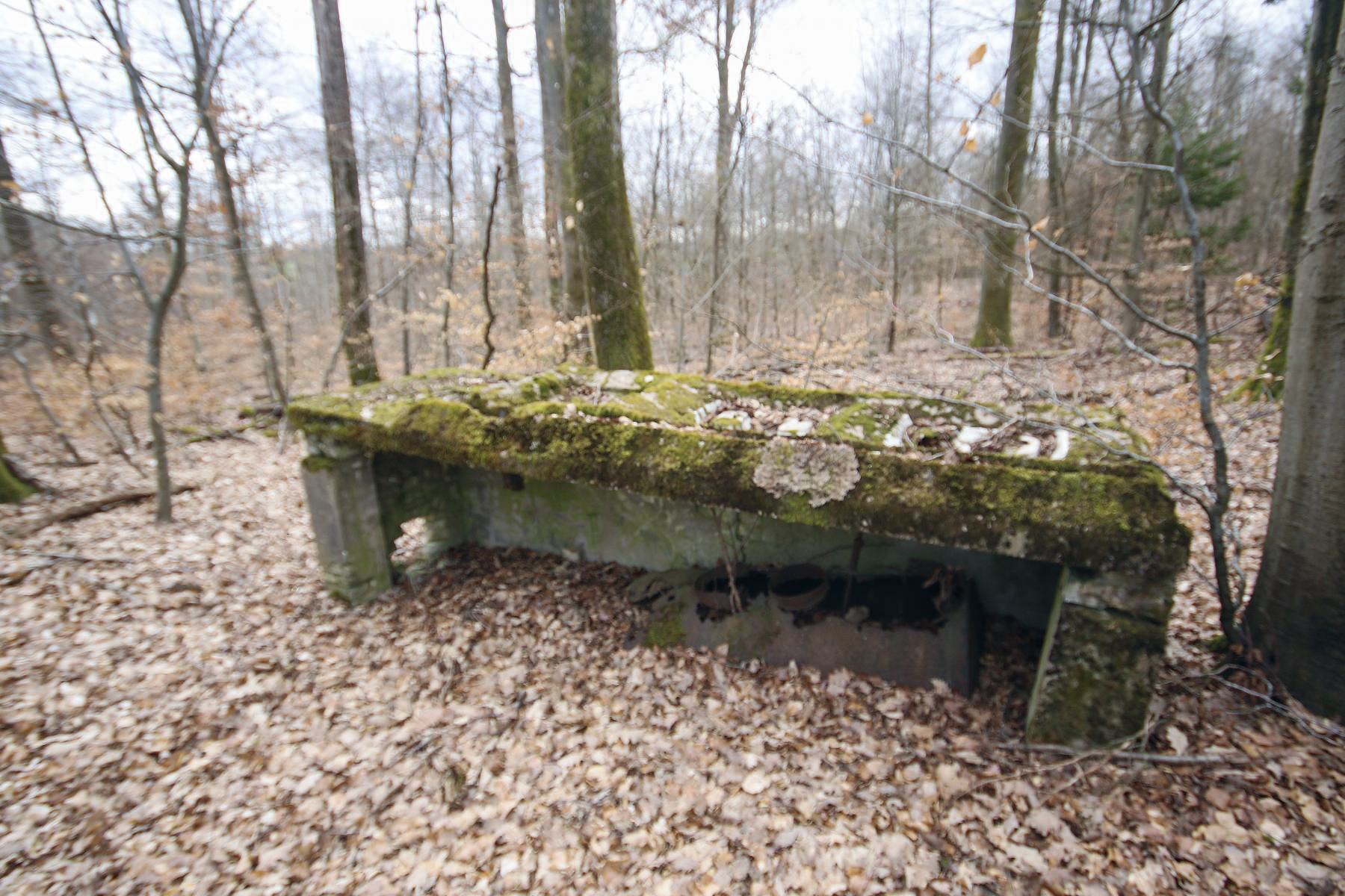 Ligne Maginot - KISSWALD 1 (AVANT POSTE) - (Blockhaus pour canon) - WC extérieur - Les Bergers des Pierres_Michel & Philippe ZIMMER