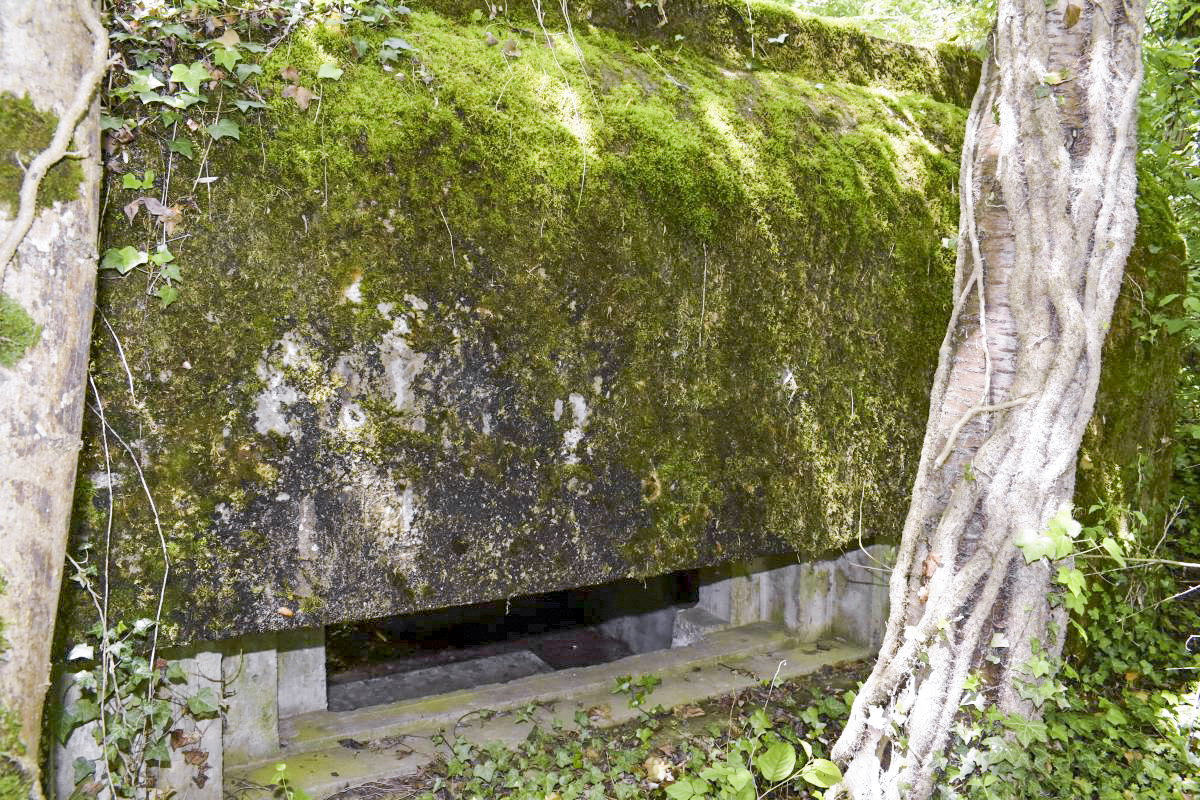 Ligne Maginot - KOETZINGUE 2 (Blockhaus pour canon) - Créneau de tir orienté vers l'est, dans le fond de vallée vers Waltenheim - D. Froehly
