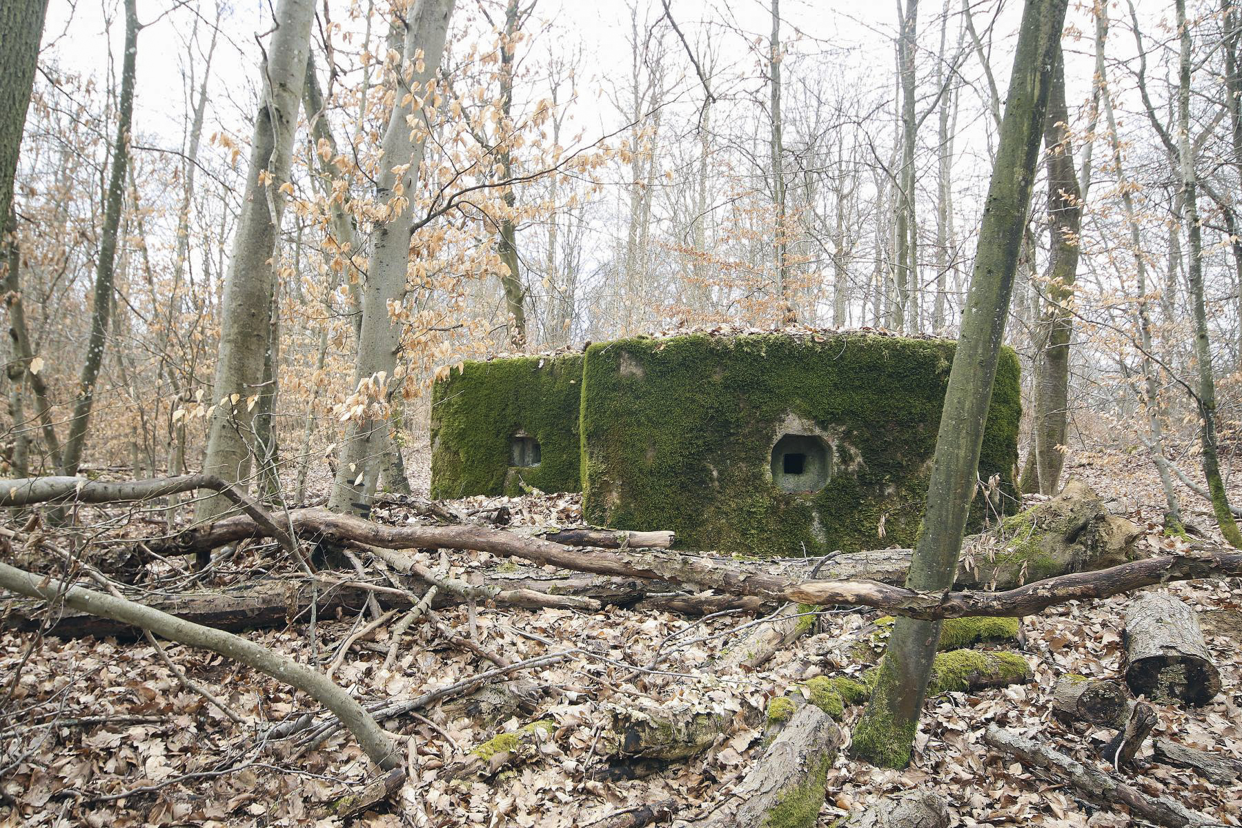 Ligne Maginot - KISSWALD 2 (AVANT POSTE) - (Blockhaus pour arme infanterie) -  - Les Bergers des Pierres_Michel & Philippe ZIMMER