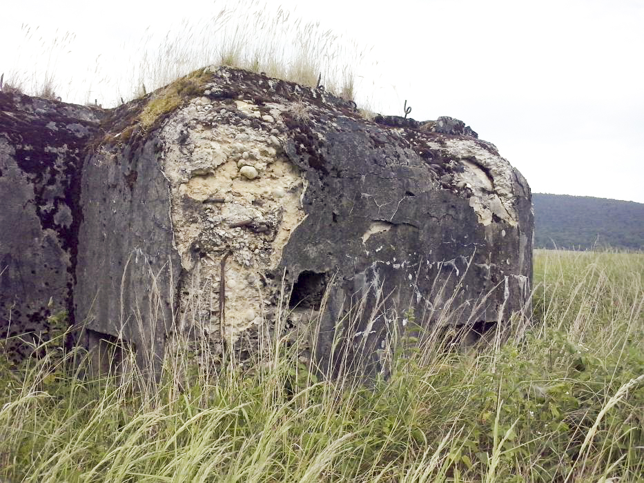 Ligne Maginot - ANDELSBERG 1 (Blockhaus pour arme infanterie) -  - donceuh