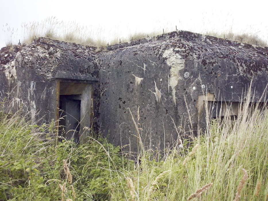 Ligne Maginot - ANDELSBERG 1 (Blockhaus pour arme infanterie) -  - donceuh