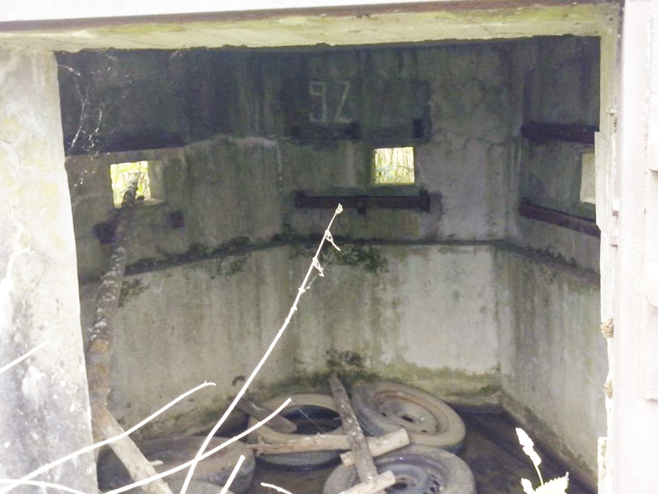 Ligne Maginot - ANDELSBERG 2 - (Blockhaus pour arme infanterie) -  - donceuh