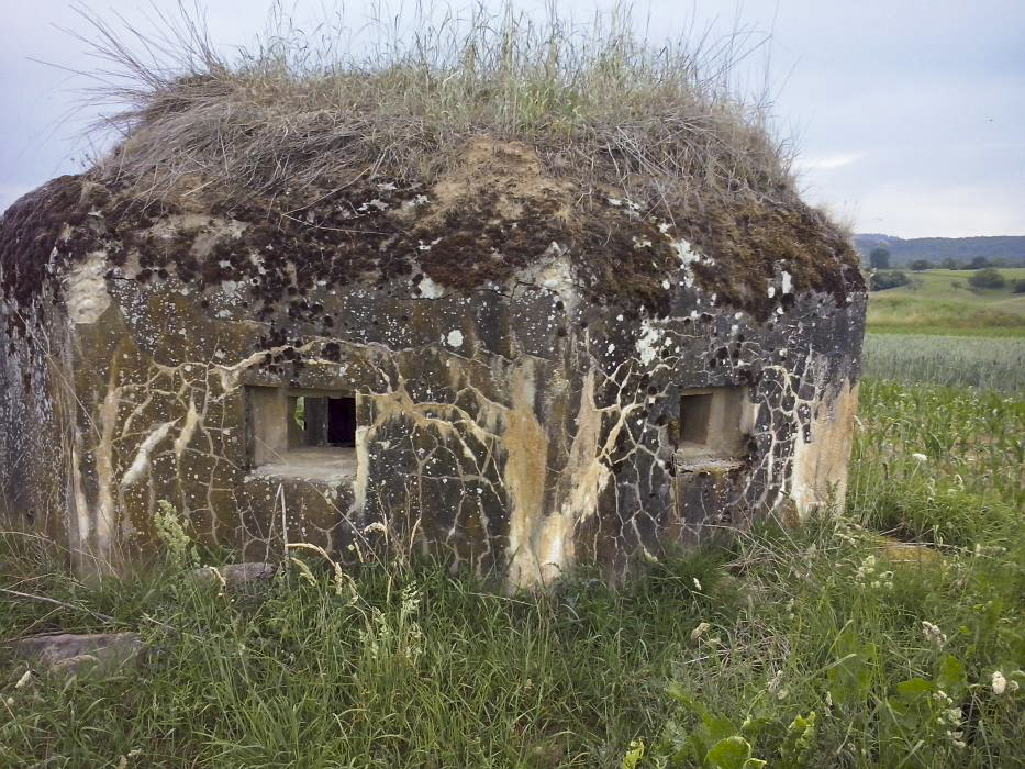 Ligne Maginot - ANDELSBERG 3 - (Blockhaus pour arme infanterie) -  - donceuh