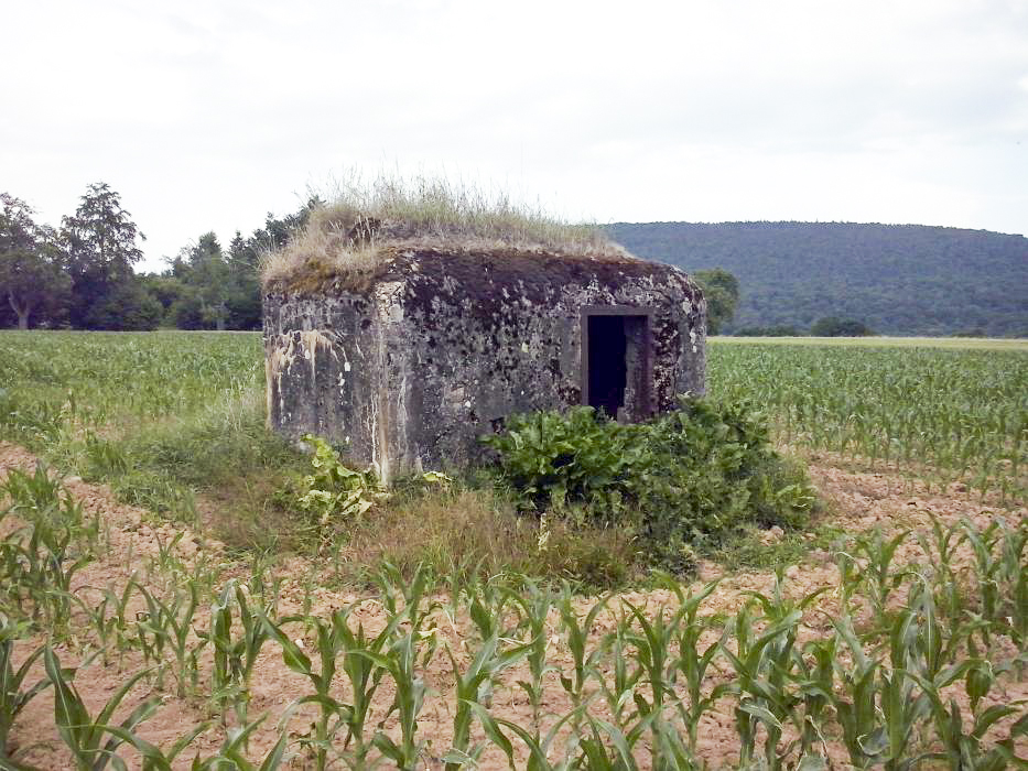 Ligne Maginot - ANDELSBERG 3 - (Blockhaus pour arme infanterie) -  - donceuh