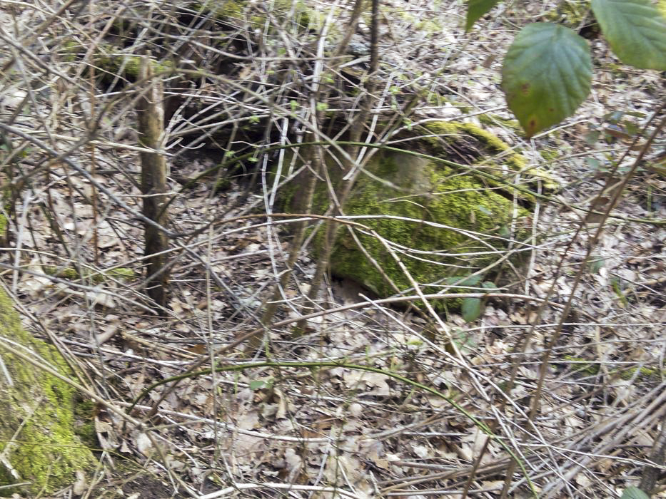 Ligne Maginot - M18 - BIRKENSCHLOSS - (Blockhaus pour arme infanterie) - En ruine, il en reste quasi plus rien - donceuh