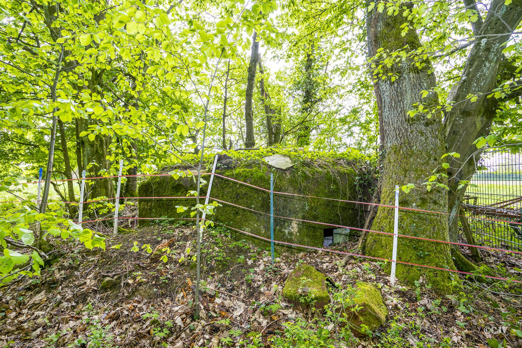 Ligne Maginot - FM65 - BOIS DE LANGENSOULTZBACH 1 - (Blockhaus pour arme infanterie) -  - Lia VERMEULEN