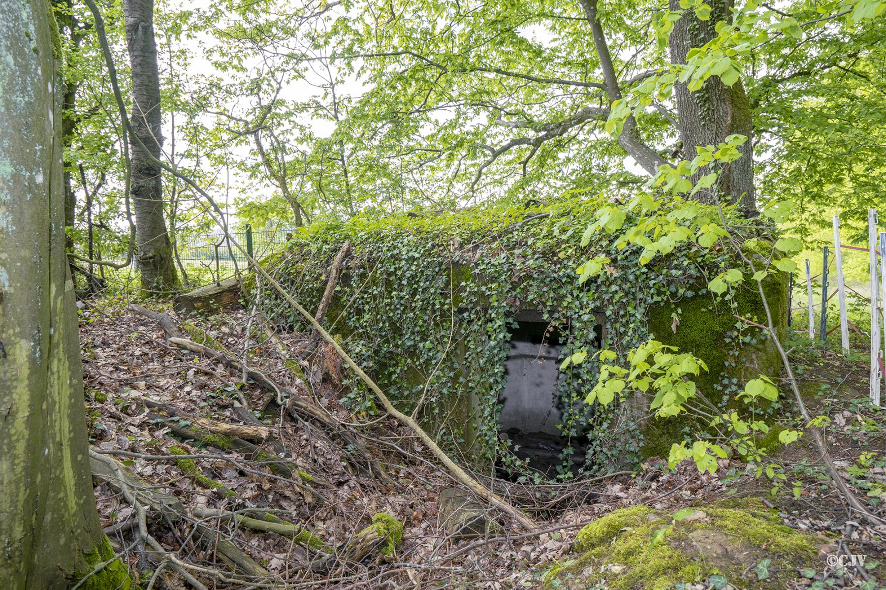 Ligne Maginot - FM65 - BOIS DE LANGENSOULTZBACH 1 - (Blockhaus pour arme infanterie) -  - Lia VERMEULEN