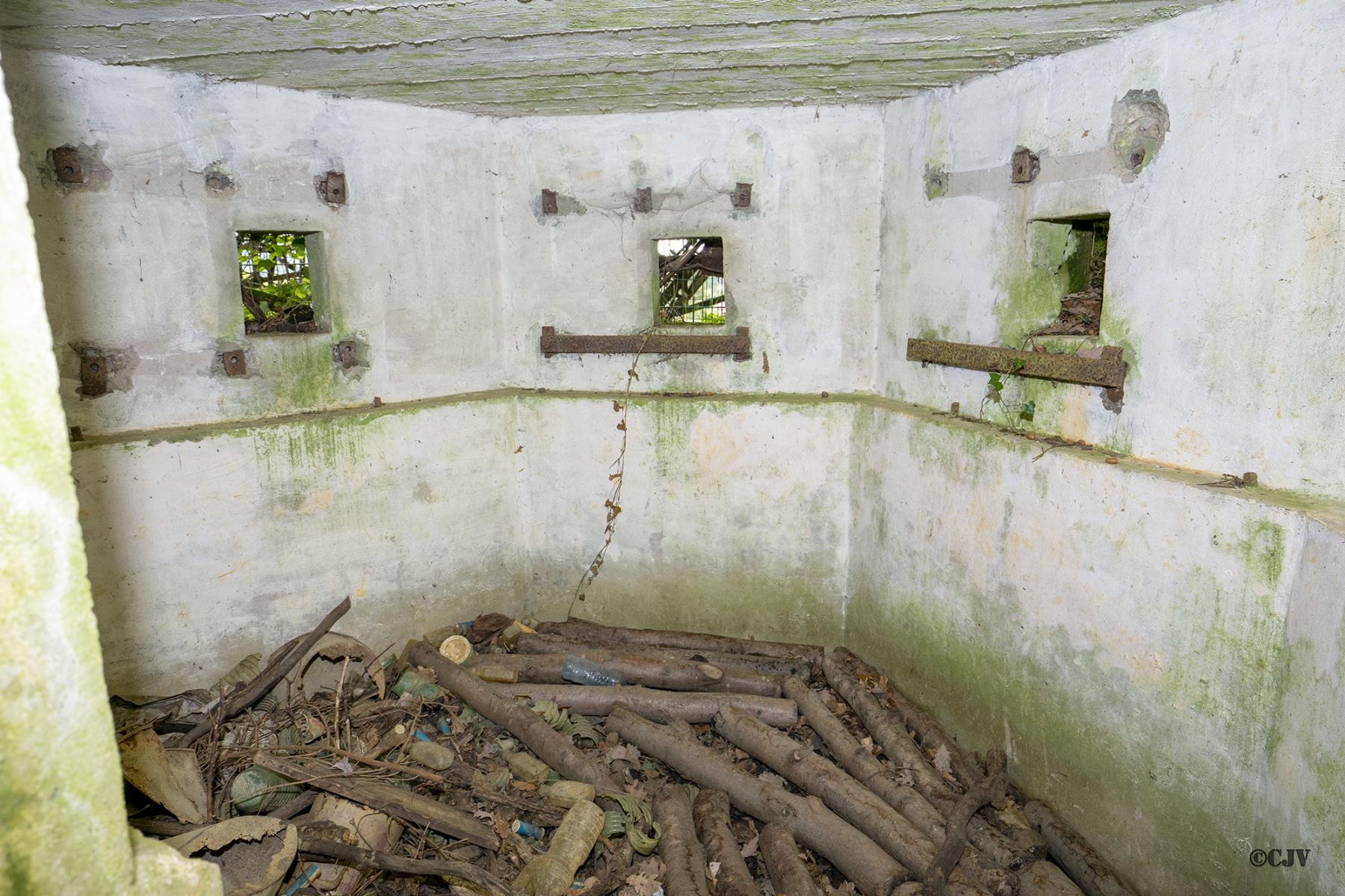 Ligne Maginot - FM65 - BOIS DE LANGENSOULTZBACH 1 - (Blockhaus pour arme infanterie) -  - Lia VERMEULEN
