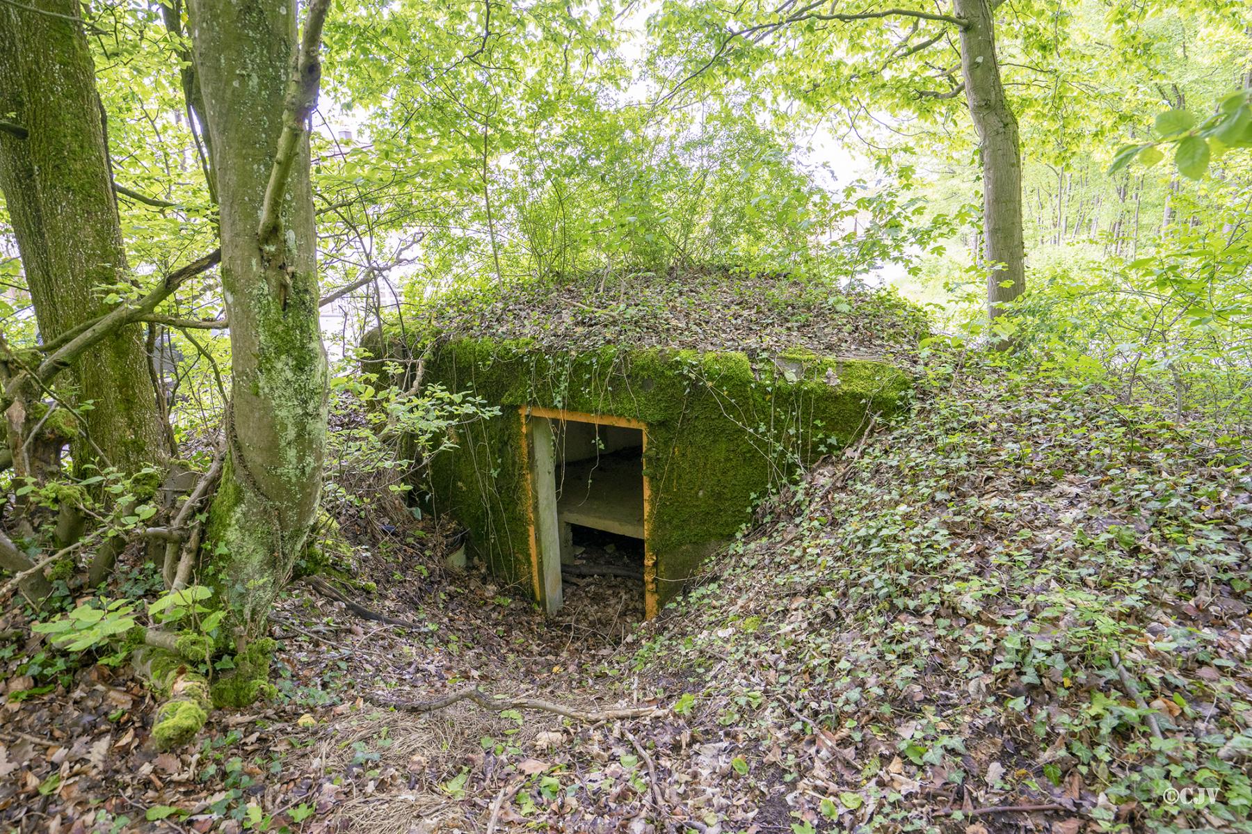 Ligne Maginot - M15 - BOIS DE LANGENSOULTZBACH 2 - (Blockhaus pour arme infanterie) -  - Lia VERMEULEN