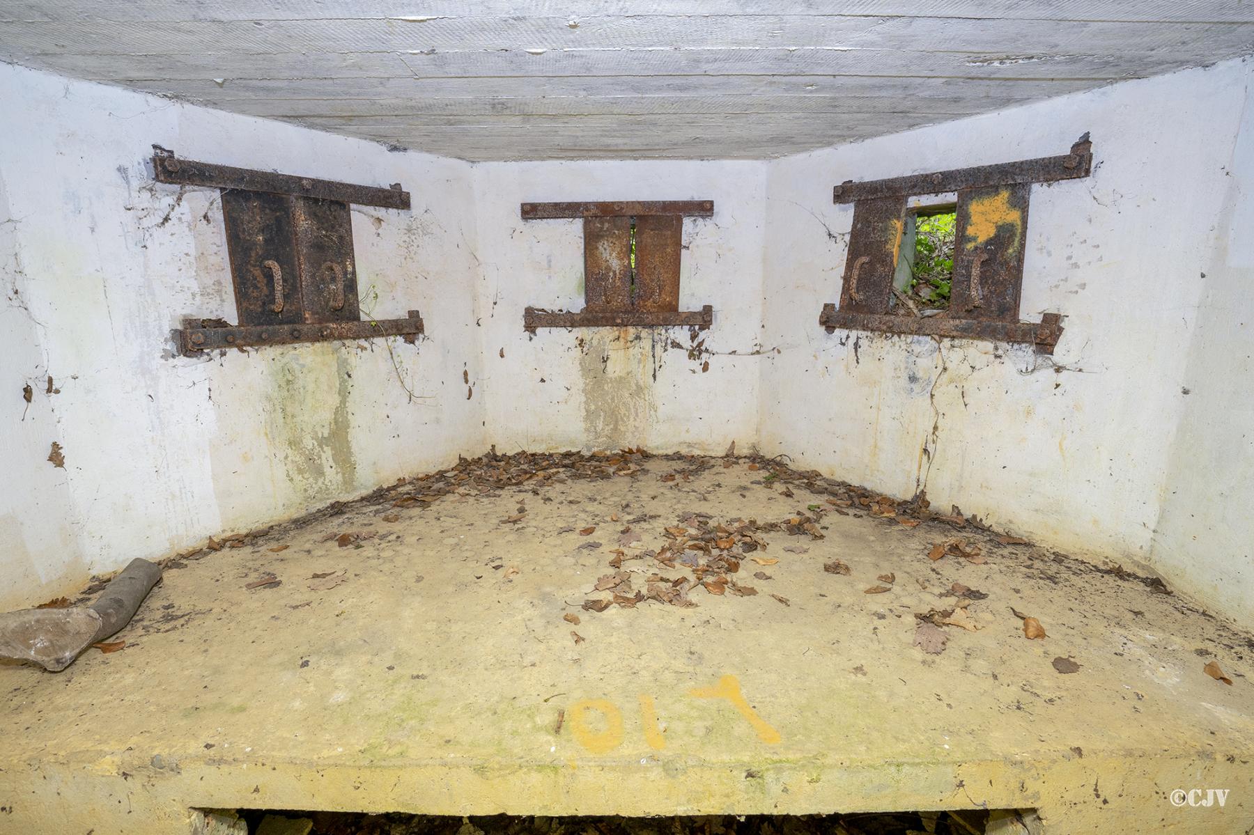 Ligne Maginot - M15 - BOIS DE LANGENSOULTZBACH 2 - (Blockhaus pour arme infanterie) -  - Lia VERMEULEN