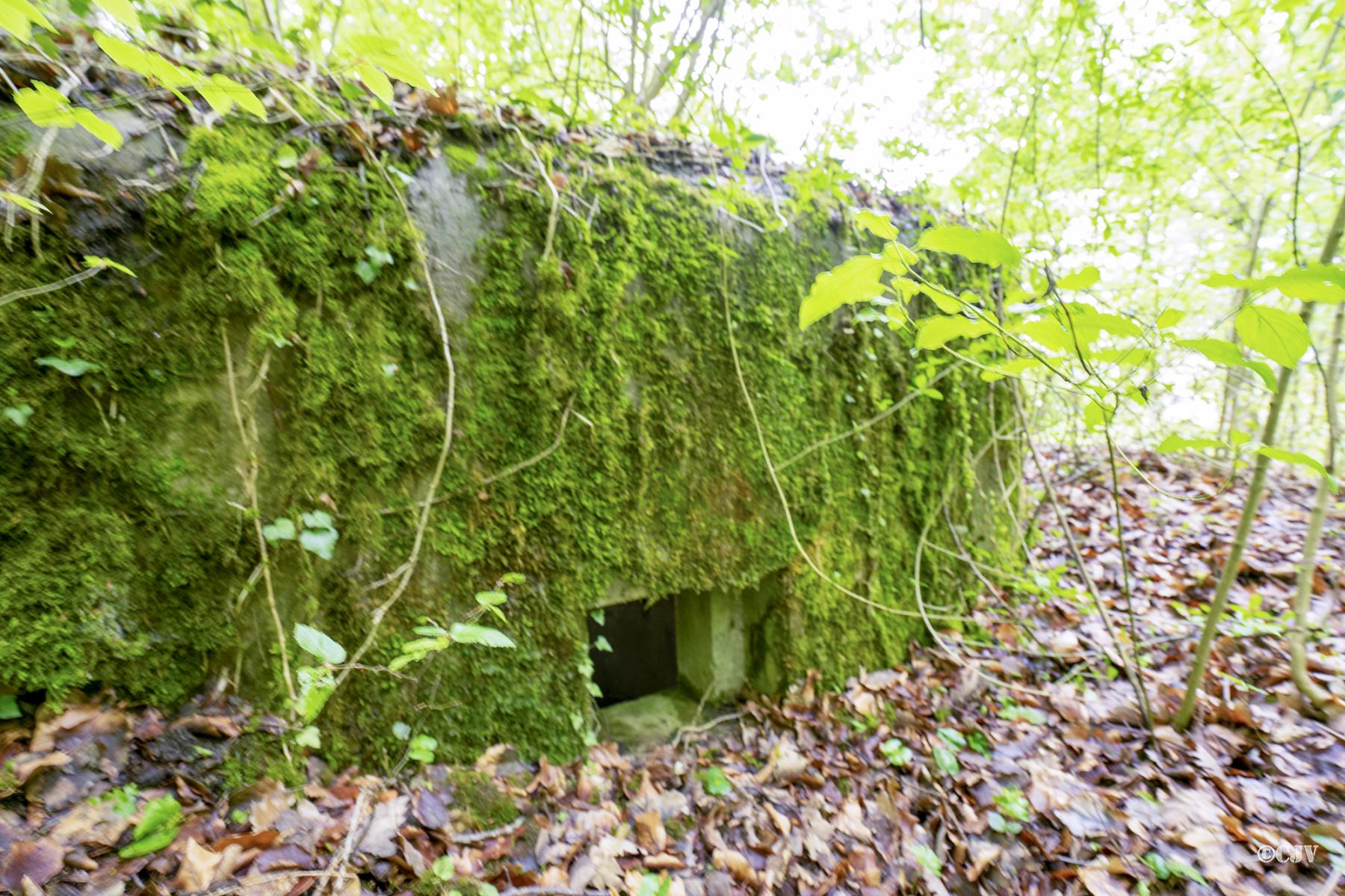 Ligne Maginot - FM64 - BOIS DE LANGENSOULTZBACH 3 - (Blockhaus pour arme infanterie) -  - Lia VERMEULEN