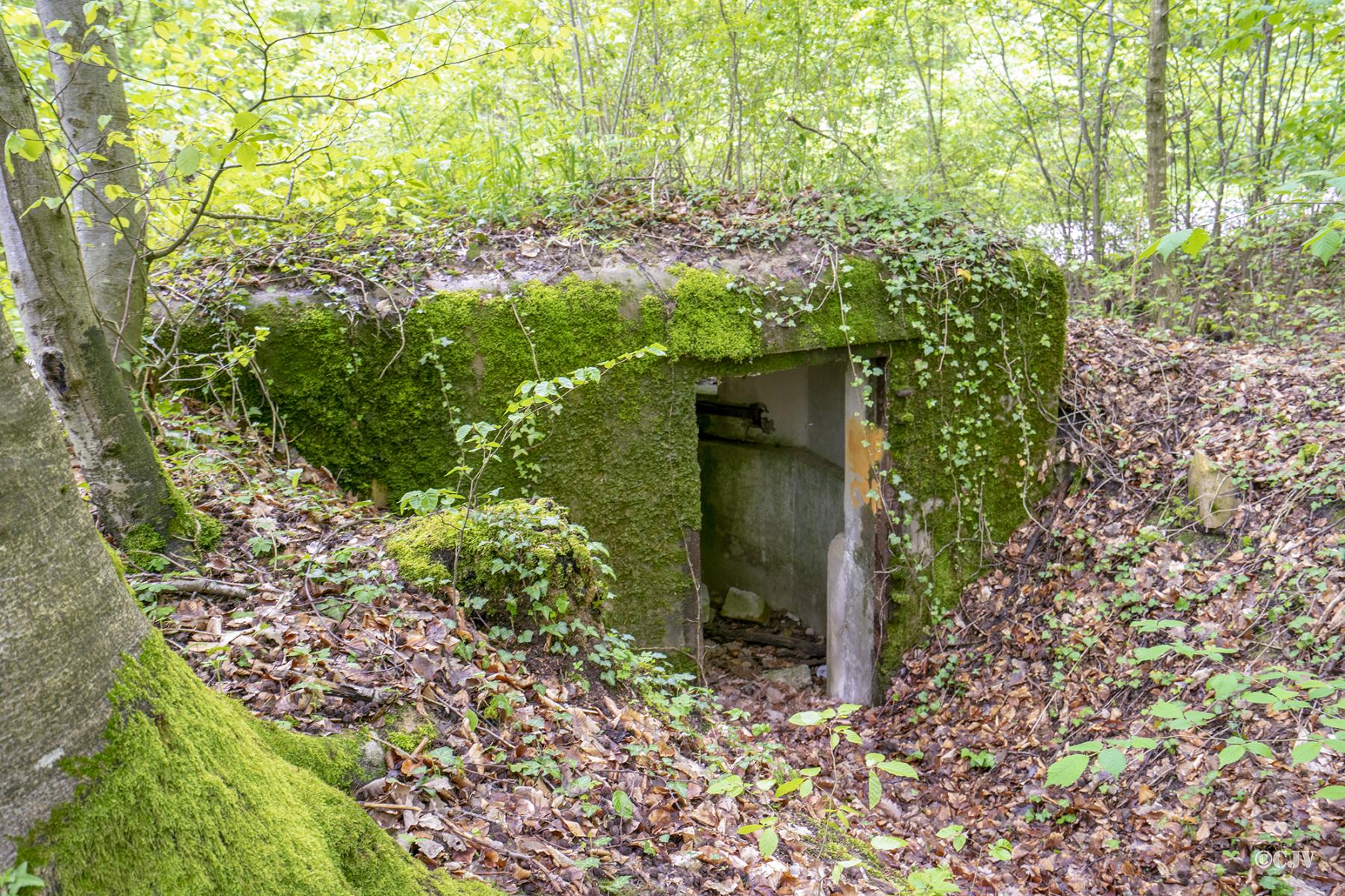 Ligne Maginot - FM64 - BOIS DE LANGENSOULTZBACH 3 - (Blockhaus pour arme infanterie) -  - Lia VERMEULEN