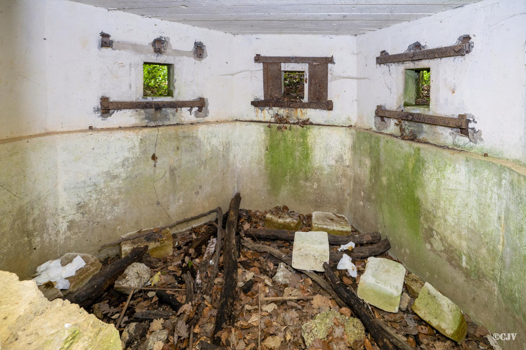 Ligne Maginot - FM64 - BOIS DE LANGENSOULTZBACH 3 - (Blockhaus pour arme infanterie) -  - Lia VERMEULEN